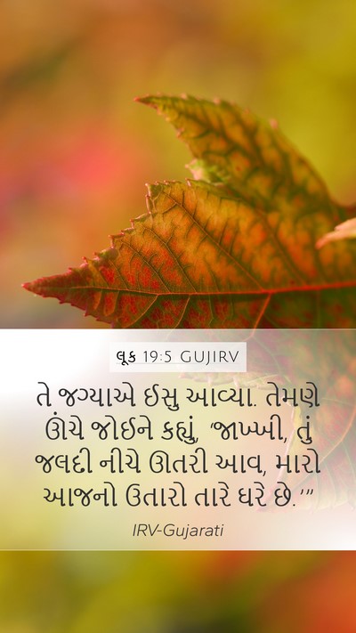 લૂક 19:5 GUJIRV Bible Verse Image