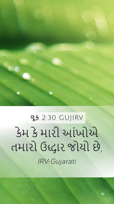 લૂક 2:30 GUJIRV Bible Verse Image