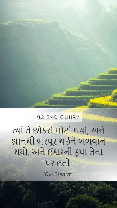 લૂક 2:40 GUJIRV Bible Verse Image