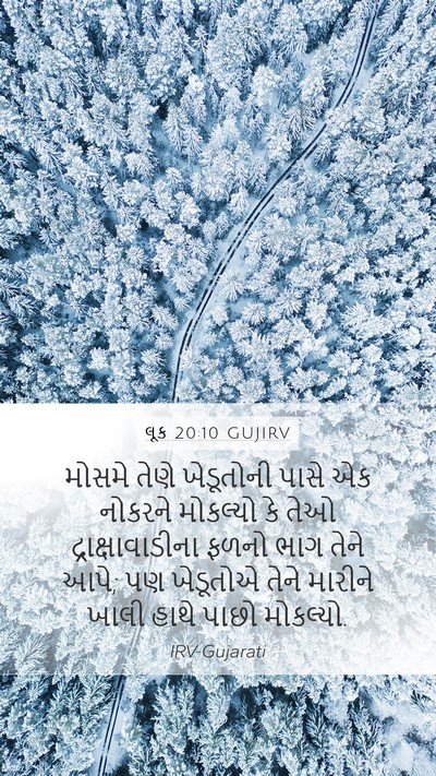 લૂક 20:10 GUJIRV Bible Verse Image