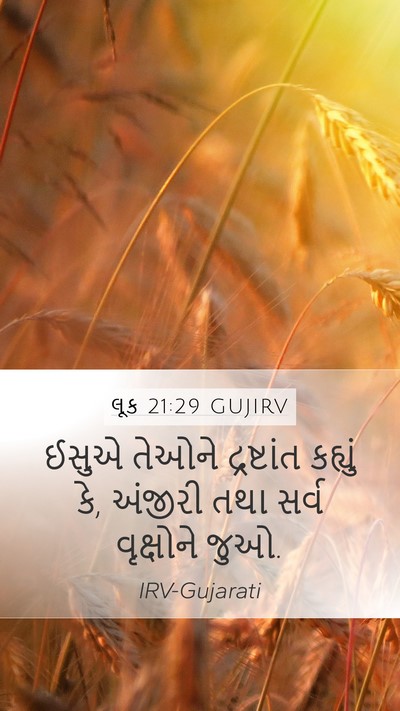 લૂક 21:29 GUJIRV Bible Verse Image