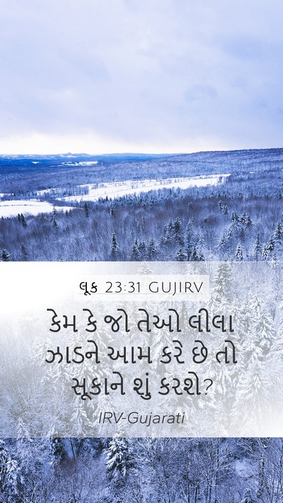 લૂક 23:31 GUJIRV Bible Verse Image