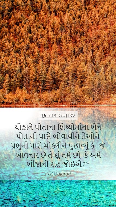 લૂક 7:19 GUJIRV Bible Verse Image