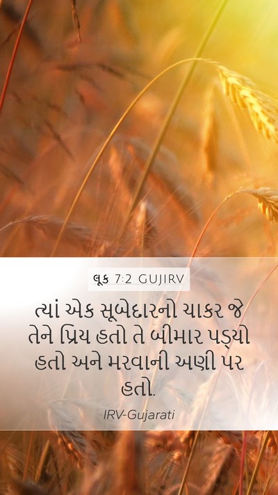 લૂક 7:2 GUJIRV Bible Verse Image