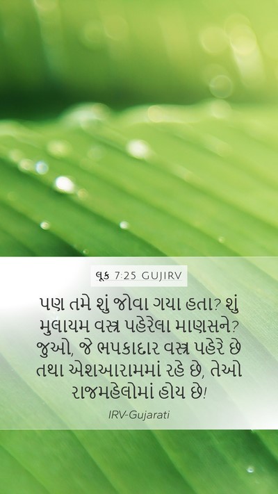 લૂક 7:25 GUJIRV Bible Verse Image