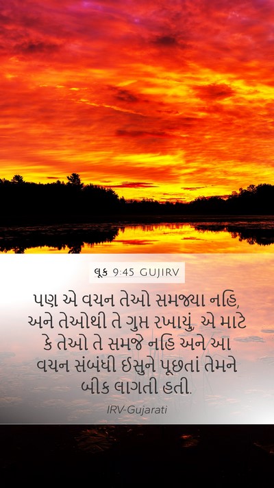 લૂક 9:45 GUJIRV Bible Verse Image