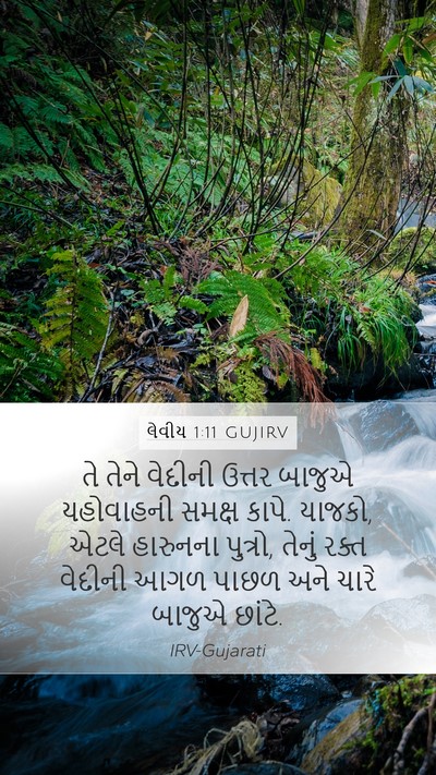 લેવીય 1:11 GUJIRV Bible Verse Image