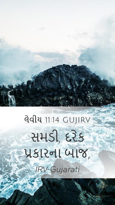 લેવીય 11:14 GUJIRV Mobile Phone Wallpaper - સમડી, દરેક - Mobile Bible Verse Wallpaper
