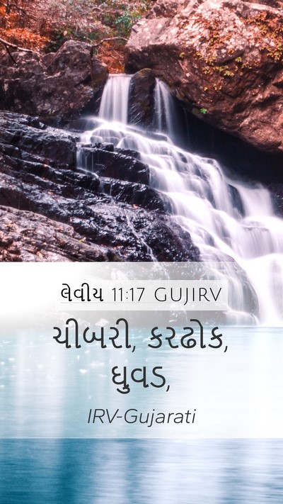 લેવીય 11:17 GUJIRV Mobile Phone Wallpaper - ચીબરી, કરઢોક, - Mobile Bible Verse Wallpaper