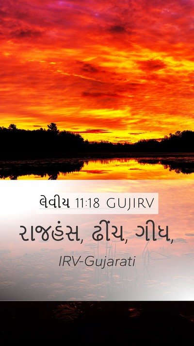 લેવીય 11:18 GUJIRV Mobile Phone Wallpaper - રાજહંસ, ઢીંચ, - Mobile Bible Verse Wallpaper