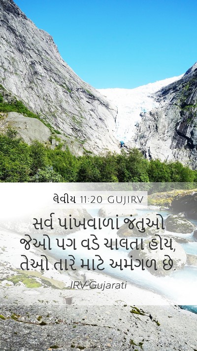 લેવીય 11:20 GUJIRV Bible Verse Image