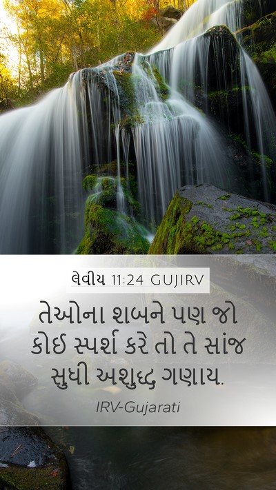 લેવીય 11:24 GUJIRV Mobile Phone Wallpaper - તેઓના શબને પણ જો - Mobile Bible Verse Wallpaper