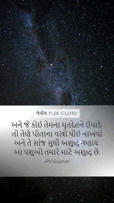 લેવીય 11:28 GUJIRV Bible Verse Image