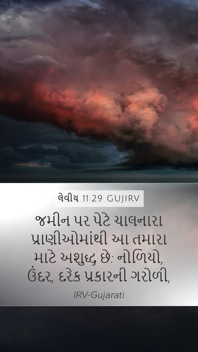 લેવીય 11:29 GUJIRV Mobile Phone Wallpaper - જમીન પર પેટે - Mobile Bible Verse Wallpaper
