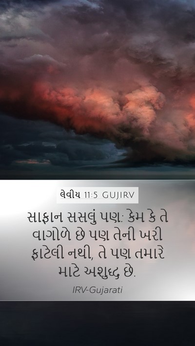 લેવીય 11:5 GUJIRV Bible Verse Image