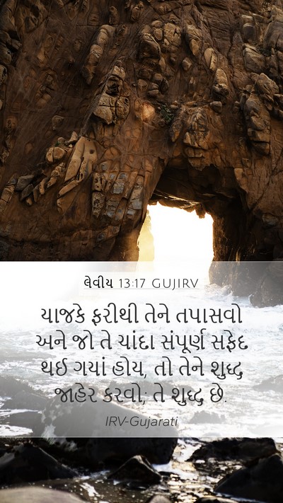 લેવીય 13:17 GUJIRV Mobile Phone Wallpaper - યાજકે ફરીથી તેને - Mobile Bible Verse Wallpaper