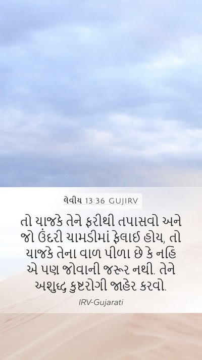 લેવીય 13:36 GUJIRV Mobile Phone Wallpaper - તો યાજકે તેને - Mobile Bible Verse Wallpaper