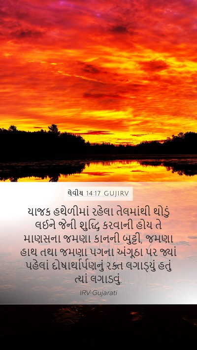 લેવીય 14:17 GUJIRV Mobile Phone Wallpaper - યાજક હથેળીમાં - Mobile Bible Verse Wallpaper