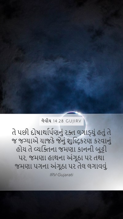 લેવીય 14:28 GUJIRV Mobile Phone Wallpaper - તે પછી - Mobile Bible Verse Wallpaper
