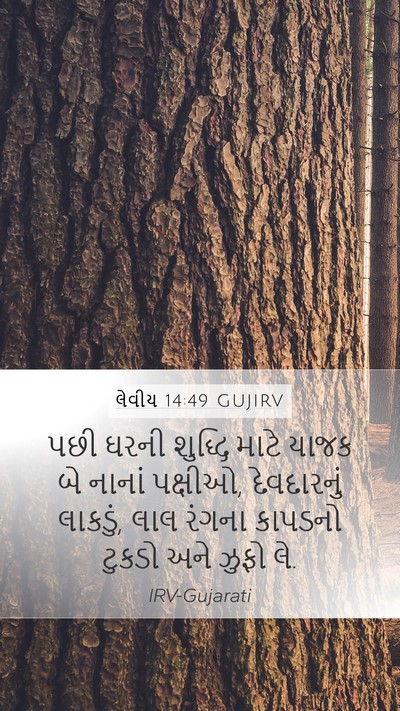 લેવીય 14:49 GUJIRV Bible Verse Image