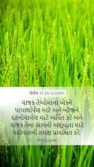લેવીય 15:30 GUJIRV Mobile Phone Wallpaper - યાજક તેઓમાંના - Mobile Bible Verse Wallpaper