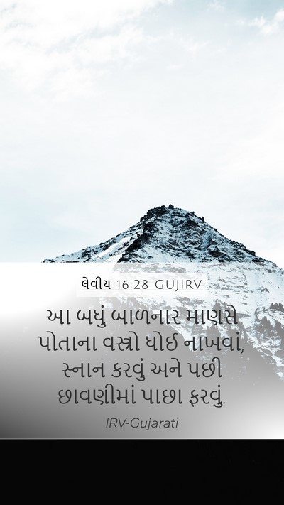 લેવીય 16:28 GUJIRV Bible Verse Image