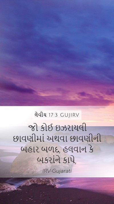 લેવીય 17:3 GUJIRV Bible Verse Image