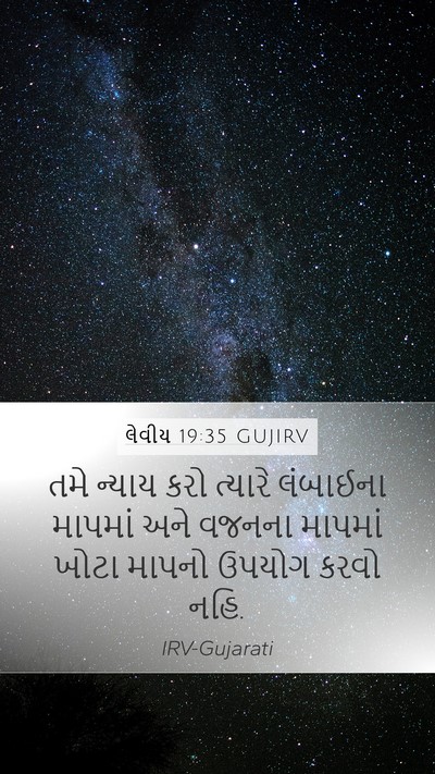 લેવીય 19:35 GUJIRV Bible Verse Image