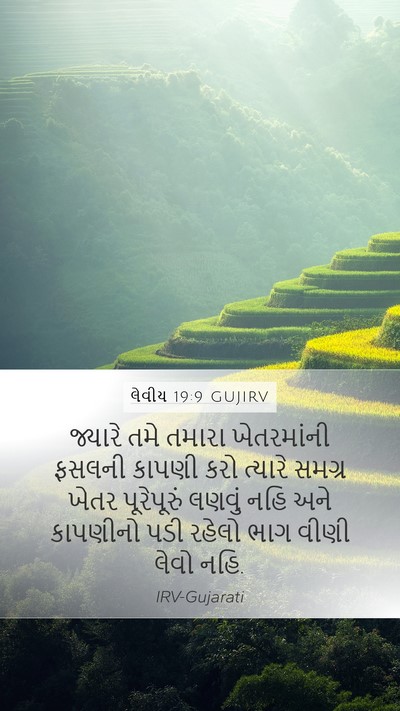 લેવીય 19:9 GUJIRV Bible Verse Image