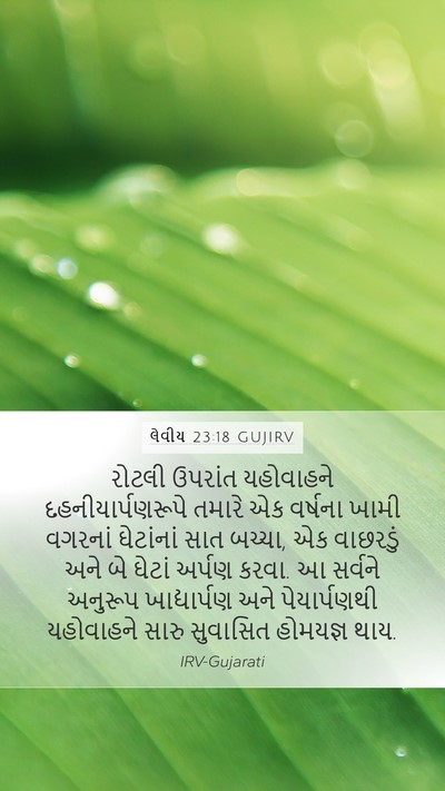 લેવીય 23:18 GUJIRV Mobile Phone Wallpaper - રોટલી ઉપરાંત - Mobile Bible Verse Wallpaper