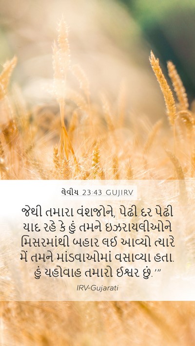 લેવીય 23:43 GUJIRV Bible Verse Image