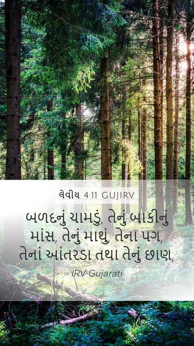 લેવીય 4:11 GUJIRV Bible Verse Image