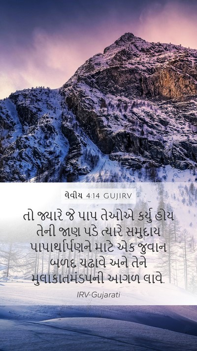 લેવીય 4:14 GUJIRV Bible Verse Image