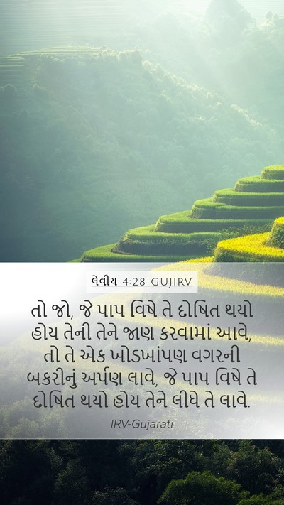 લેવીય 4:28 GUJIRV Mobile Phone Wallpaper - તો જો, જે પાપ વિષે - Mobile Bible Verse Wallpaper