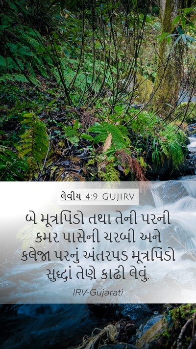 લેવીય 4:9 GUJIRV Bible Verse Image