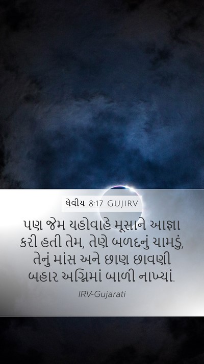 લેવીય 8:17 GUJIRV Bible Verse Image