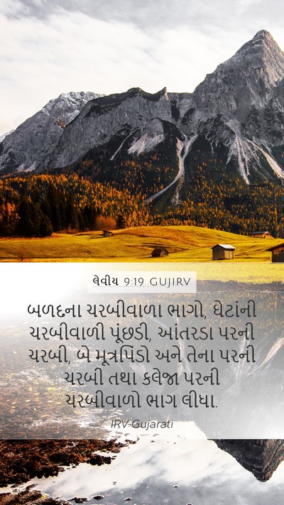 લેવીય 9:19 GUJIRV Bible Verse Image