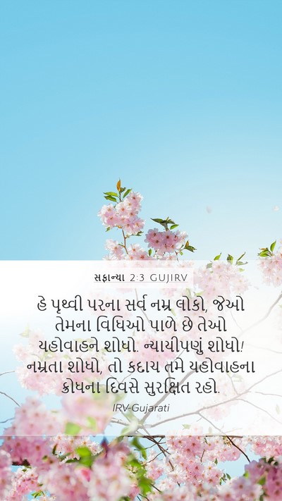 સફાન્યા 2:3 GUJIRV Bible Verse Image