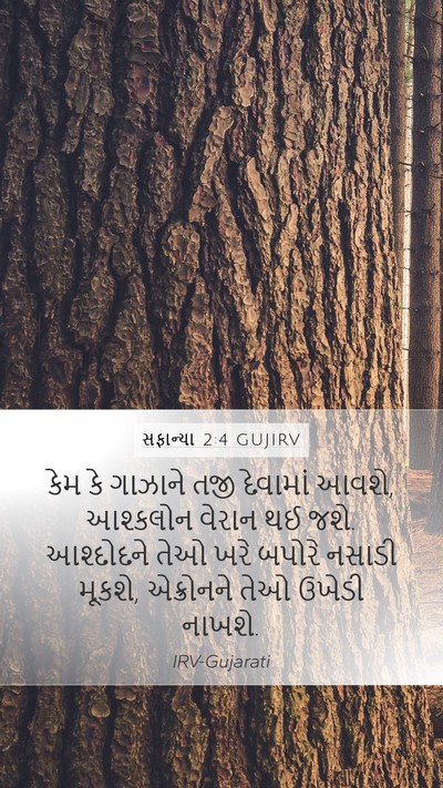 સફાન્યા 2:4 GUJIRV Bible Verse Image