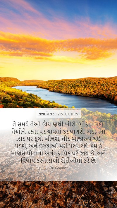 સભાશિક્ષક 12:5 GUJIRV Bible Verse Image