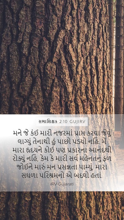 સભાશિક્ષક 2:10 GUJIRV Bible Verse Image