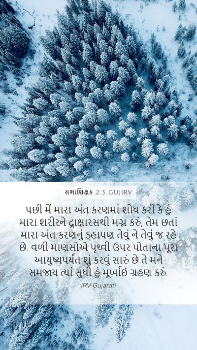 સભાશિક્ષક 2:3 GUJIRV Bible Verse Image