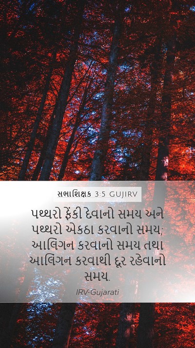 સભાશિક્ષક 3:5 GUJIRV Bible Verse Image