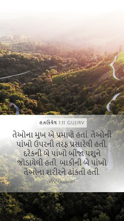 હઝકિયેલ 1:11 GUJIRV Bible Verse Image