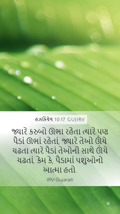 હઝકિયેલ 10:17 GUJIRV Bible Verse Image
