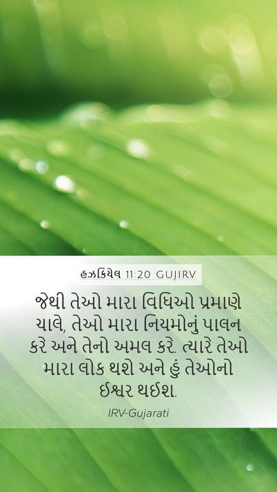 હઝકિયેલ 11:20 GUJIRV Bible Verse Image