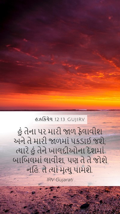 હઝકિયેલ 12:13 GUJIRV Bible Verse Image