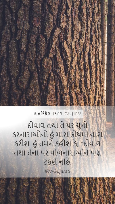 હઝકિયેલ 13:15 GUJIRV Bible Verse Image