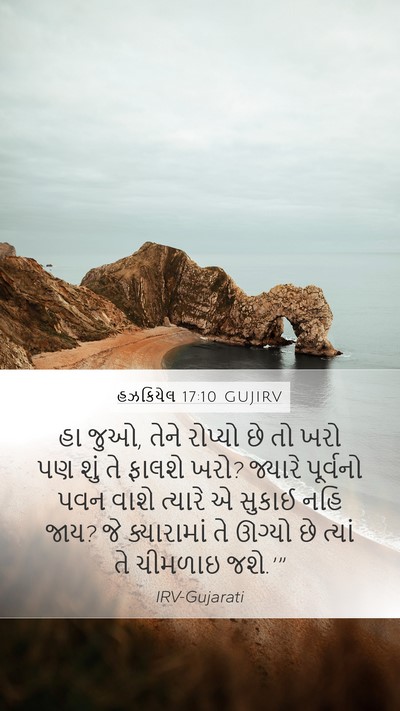 હઝકિયેલ 17:10 GUJIRV Bible Verse Image