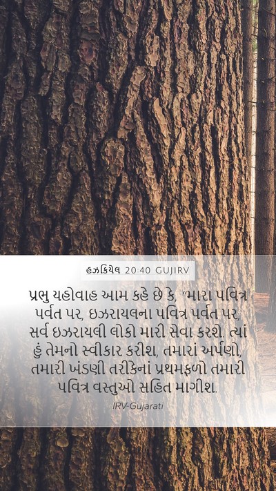હઝકિયેલ 20:40 GUJIRV Bible Verse Image